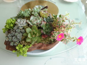 不要得罪小人完整版,不要得罪小人是什么意思