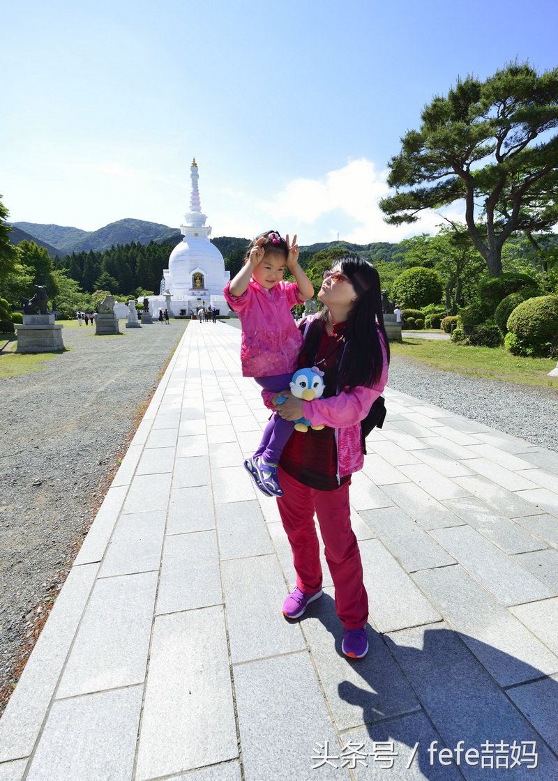 丽星邮轮日本游攻略视频,丽星邮轮厦门启程日本旅游