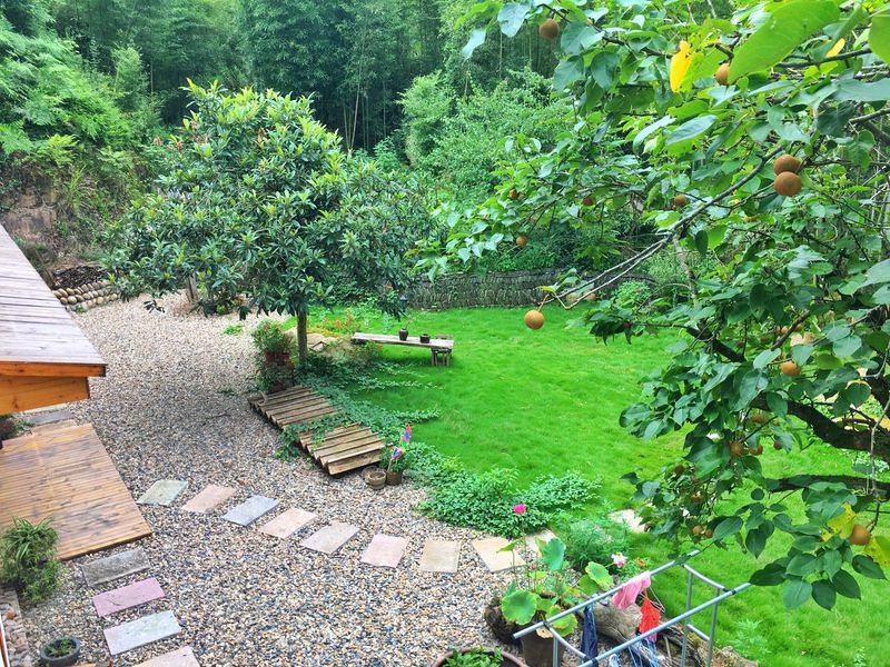 一场说走就走暑假旅行,一场说走就走的旅行来了