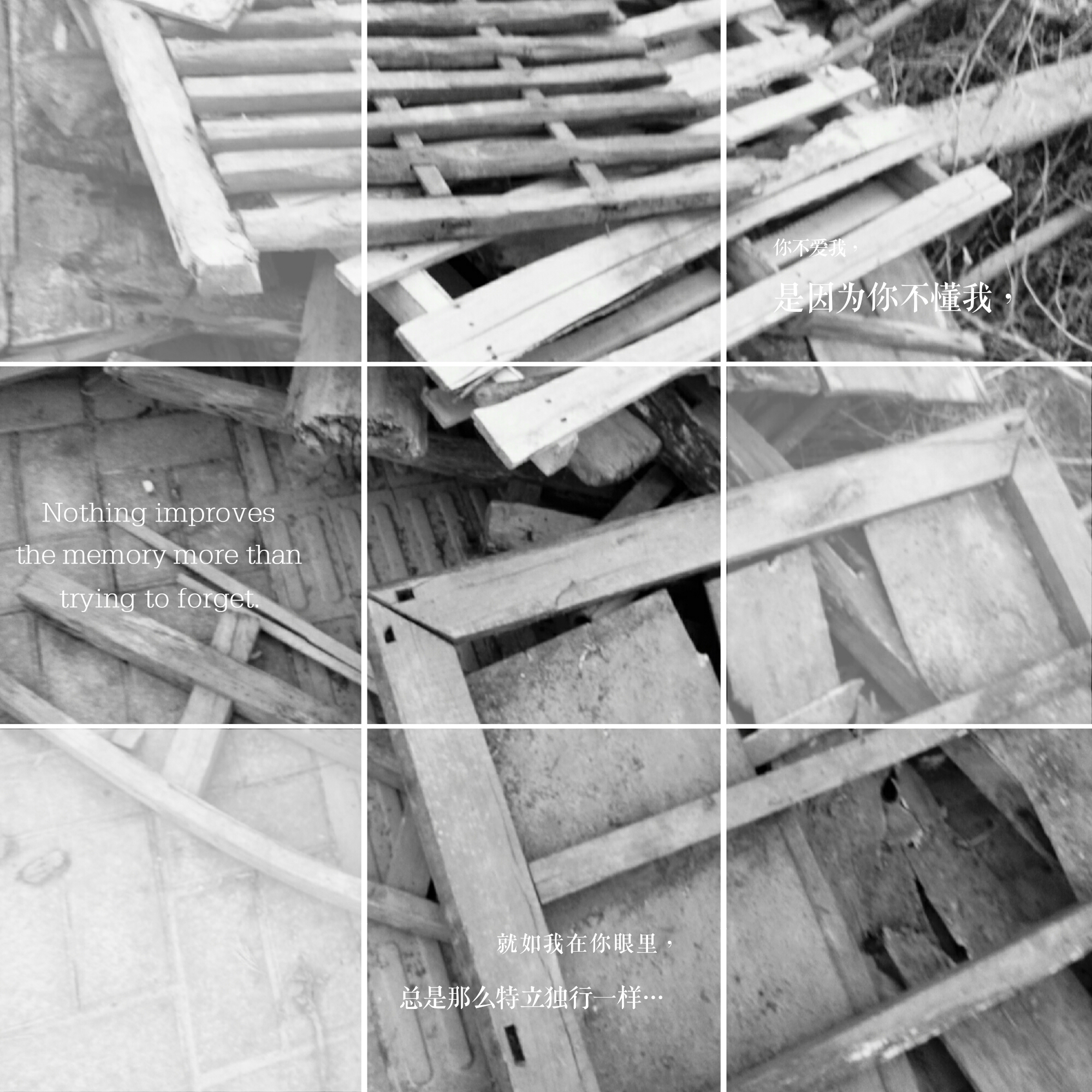 正常木头和腐朽木头对比图片,烂木头有什么用途