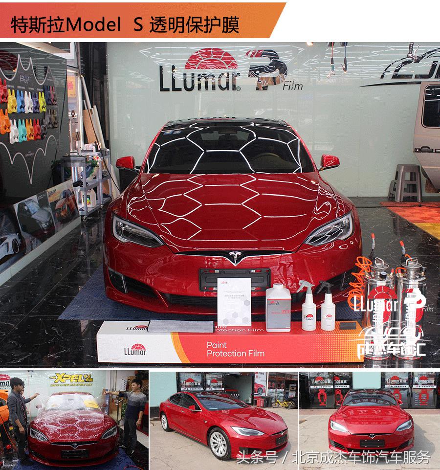 关于龙的知识简短,关于龙的科普小知识