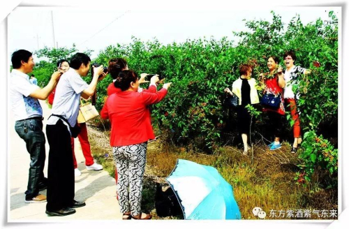 东方紫：醉美紫色·让我们相约！