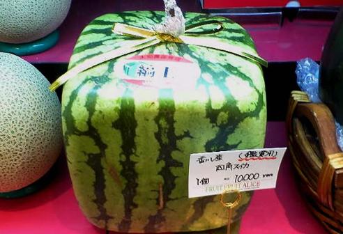 水果千元一个,日本豪华水果大师简直是把钱种在水果上