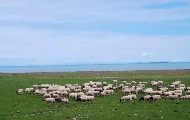 青海到苏州旅游攻略,苏州去青海最佳路线攻略