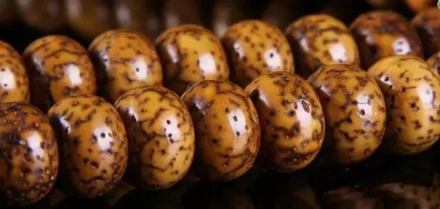 星月的正确玩法,入手星月有什么需要注意