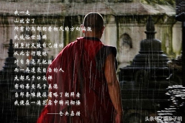 世间安得两全法不负如来什么意思,世间安得双全法全文