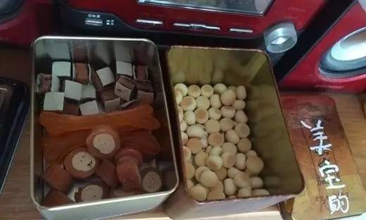 我居然开始羡慕一只狗了……