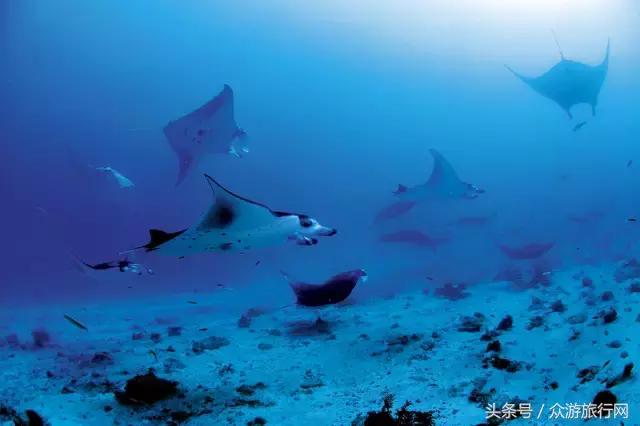 马尔代夫grandpark沙屋水屋,马尔代夫constance酒店