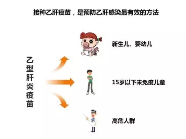 女朋友是乙肝病毒携带者,女朋友是乙肝患者我怎么办