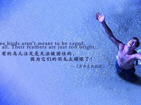 十大监狱大片,国内外十大经典监狱系列电影