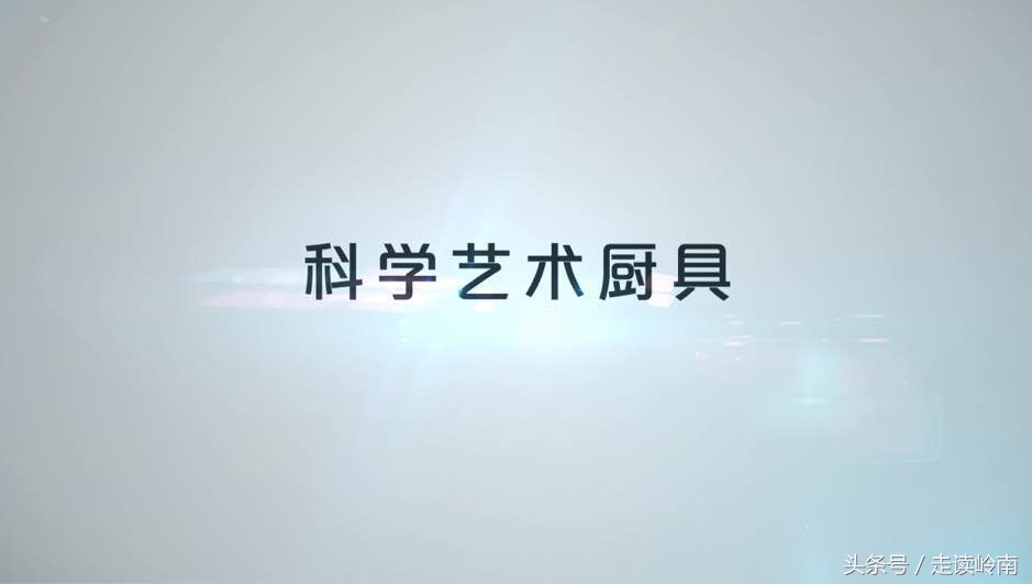 美珑美利20年的发展,美珑美利技能