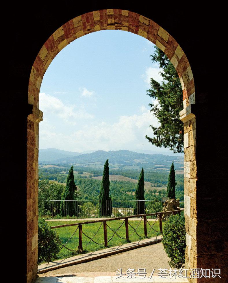 高质量意大利葡萄酒,意大利葡萄酒讲解视频