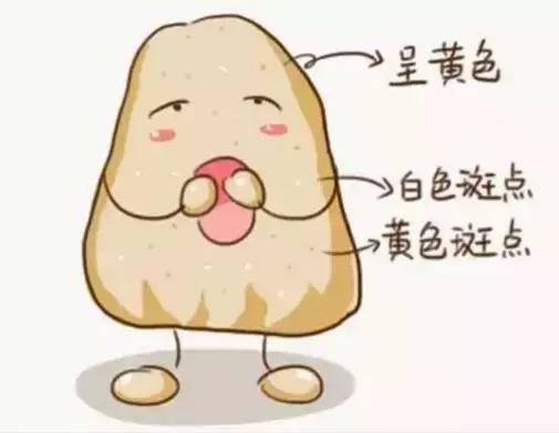 漫画｜牙结石是如何从一个“软妹”变成“硬汉”的？