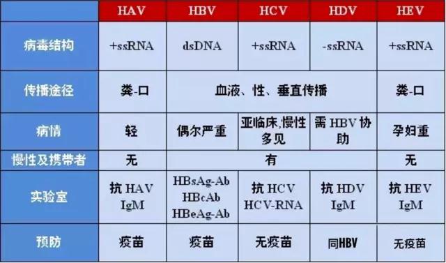 女朋友是乙肝患者有什么影响吗,女朋友是乙肝大三阳携带者怎么办