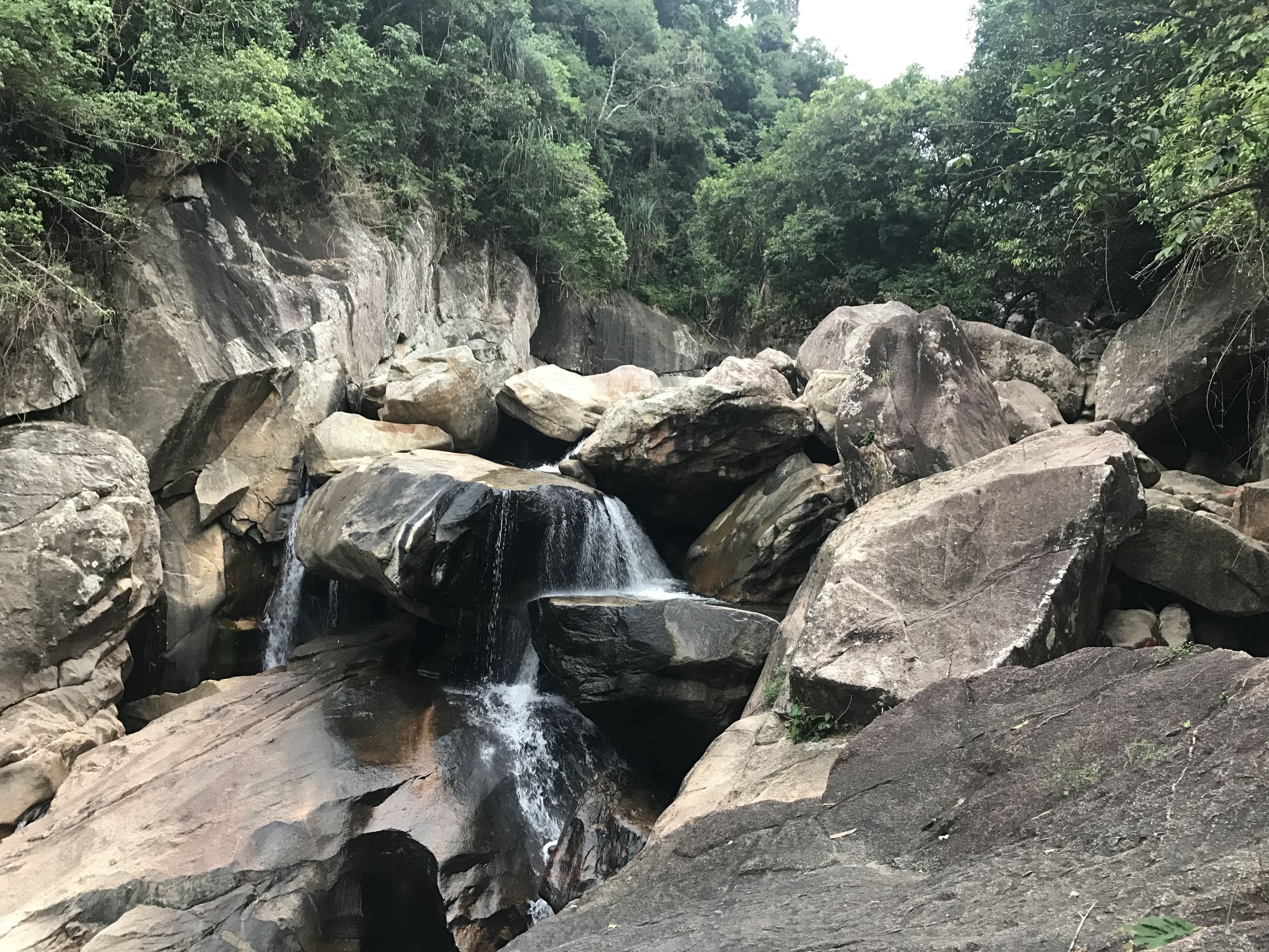 我的越南旅行记,我的芽庄之行全集