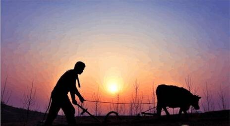 一个80后的创业者的真实故事,农村草根创业故事简介