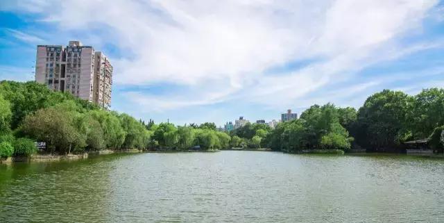 高温下的上海城市,上海40度以上高温