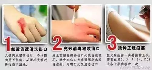 狗狗中暑缓解后还有危险吗,狗狗也会情绪低落吗