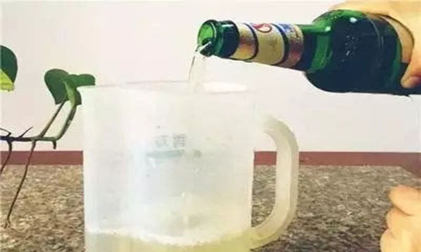 什么东西来调配浇花可以灭虫子,养花有小黑虫怎么消灭最彻底