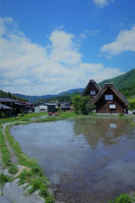 美食，美酒与美景-日本中北部升龙道深度游攻略（二）