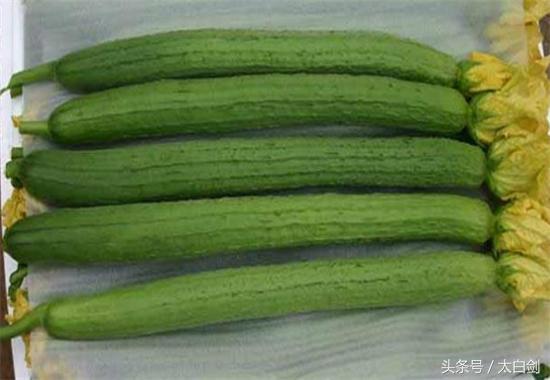 科普夏天最适合吃的七种食物,你知道夏日吃火锅必备哪些神器吗