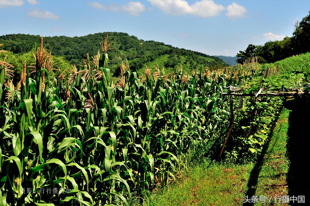 沈阳周边游水库,沈阳附近温泉一日游清河半岛