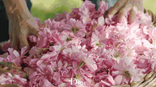 叫你买瓶香水送对象，除了香奈儿5号你是不是又懵逼了？普及那些你少有听闻的大品牌香水