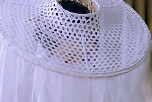 楚乔传元淳燕洵最后的结局,楚乔传元淳黑化刺杀燕洵第几集