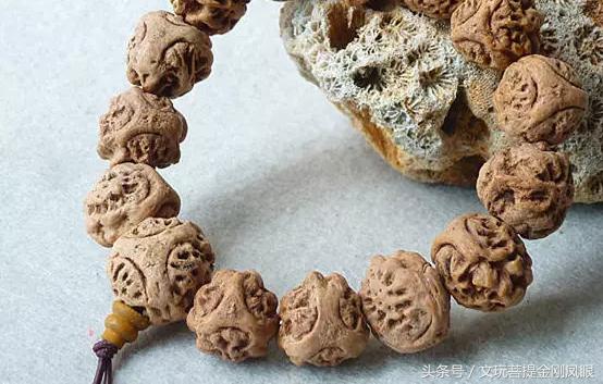 冒充凤眼菩提的核,凤眼菩提啥仿的