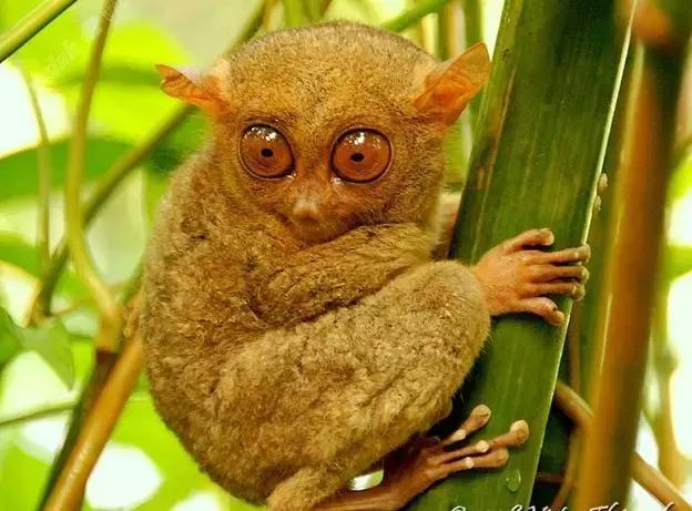 最值得去的4个海岛 (十大绝美海岛旅游攻略)