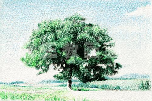 零基础学用彩铅画风景,彩铅画教程入门零基础风景