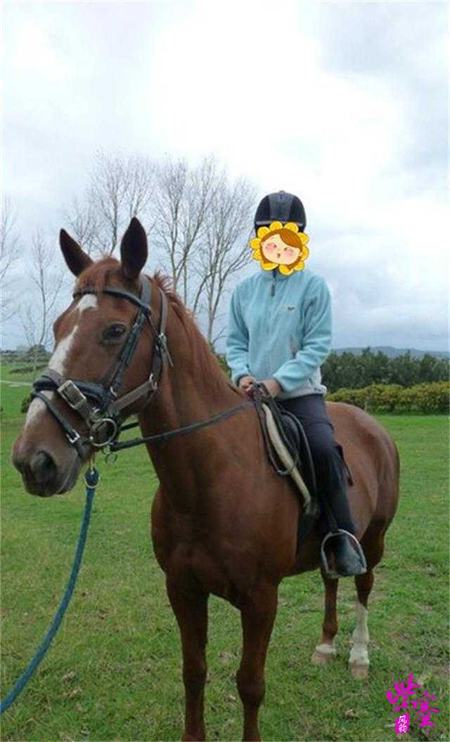 紫塞明珠乌兰布统云玉农家院,乌兰布统公主湖农家院