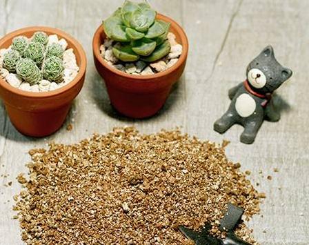 适合女人一人开店的项目,适合女人自己做的小本生意加盟