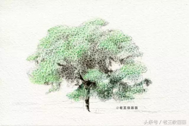 零基础学用彩铅画风景,彩铅画教程入门零基础风景