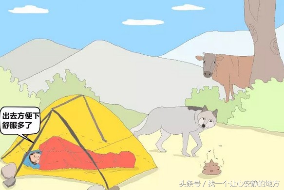 野外小技巧找不到厕所,找不到厕所我们可以去哪里方便