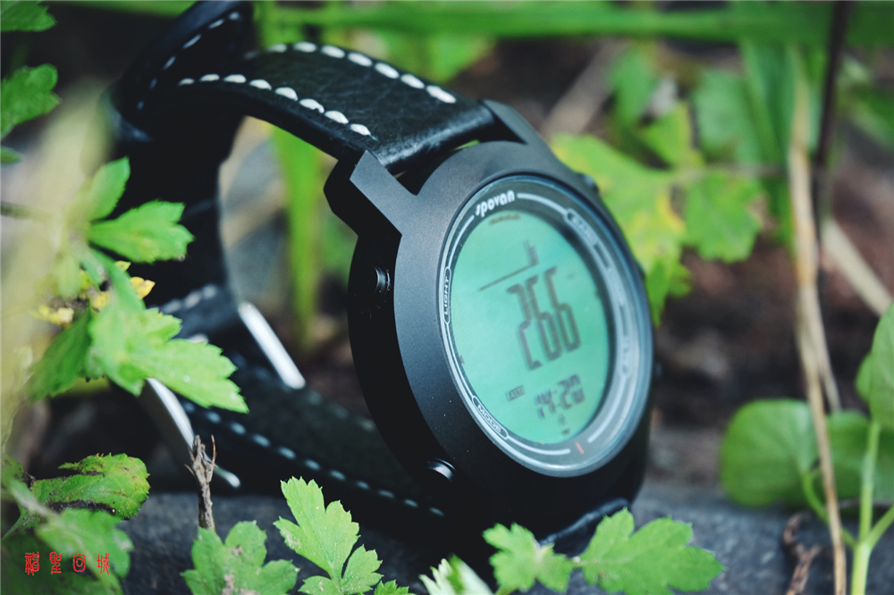 国货当自强现场,国货当自强原视频