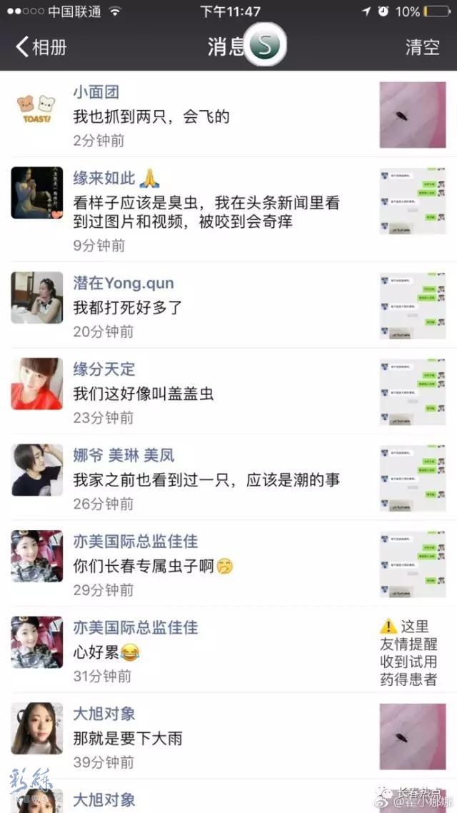 沈阳有虫子吗,京津冀出现黑虫子