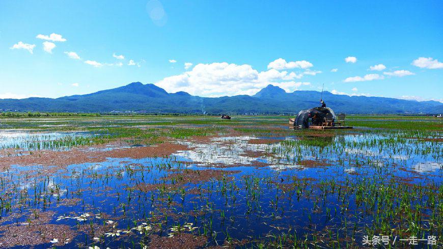 云贵川自驾游线路攻略,云贵川自驾游详细路线