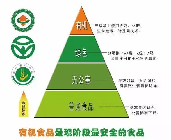 自家阳台上种的无公害绿叶菜,绿色蔬菜的种植方式是什么