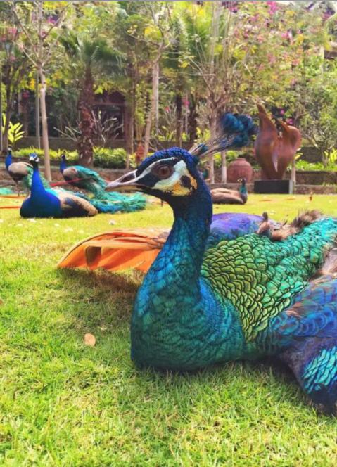 云南最值得住的酒店,云南最美温泉酒店