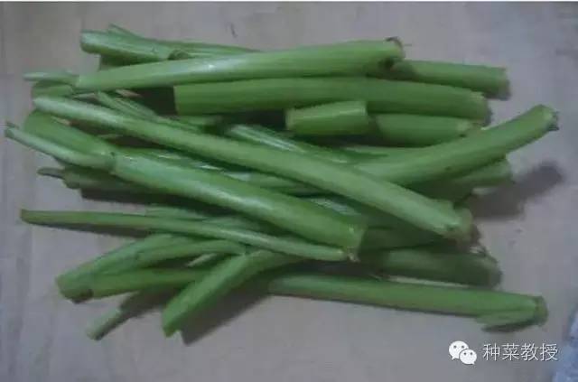 阳台种菜的土没有营养了怎么办,种子种菜阳台教程