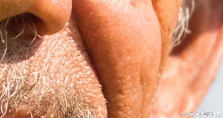 手机相机最大摄像头,比手机相机更小的摄像头