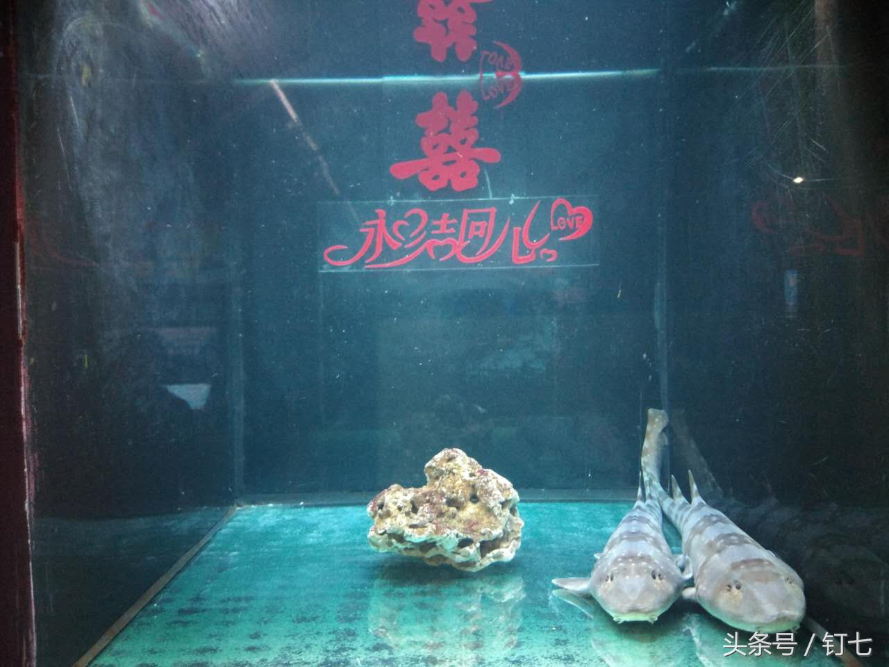 夏天与海绝配,夏天与海洋更配的图片