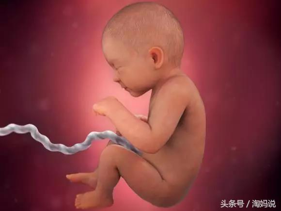 胎儿发育40周全过程注意事项,赞宝宝训练抬头的句子