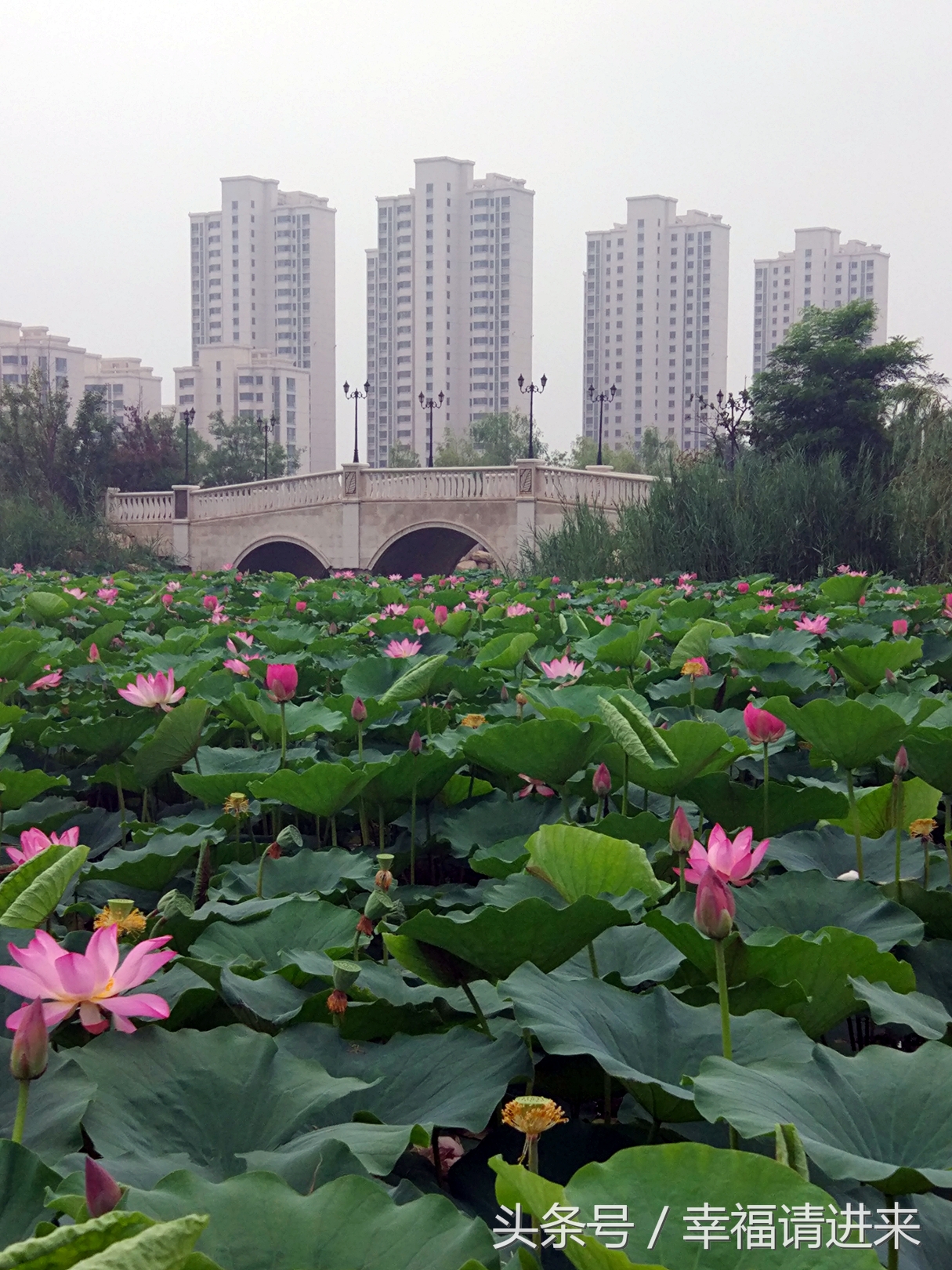 天津好去处推荐,天津好的景点推荐