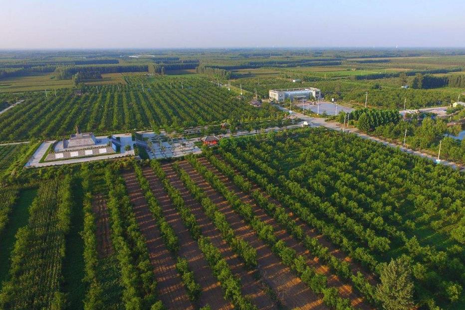 合作社达到100亩国家补贴有啥政策,农业合作社超过30万免税申报