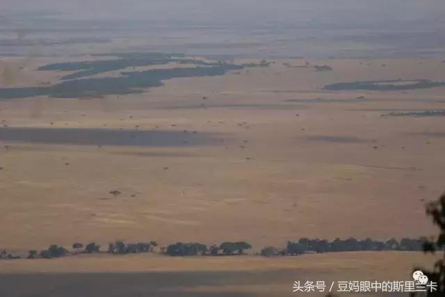 风动？树动？心动！致你，Kenya