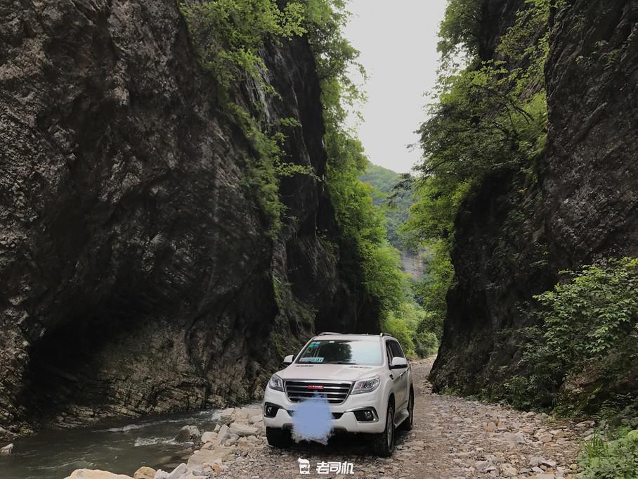 加价15万猛禽,福特猛禽加价50万