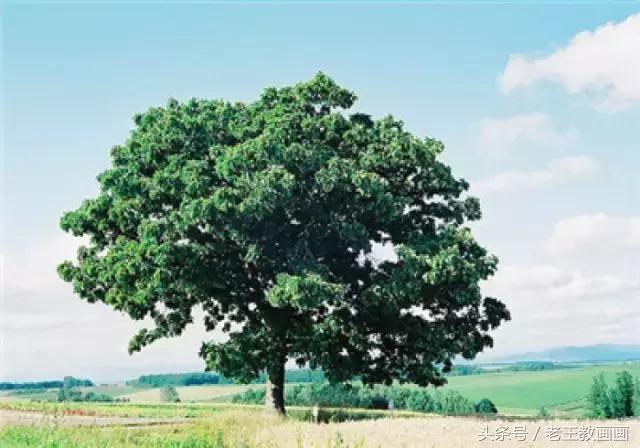 零基础学用彩铅画风景,彩铅画教程入门零基础风景