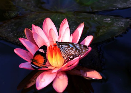 有个性的早安说说句句简短走心,早安语录励志点赞高的说说带图片